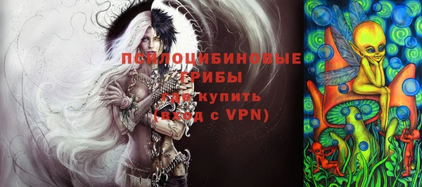ГАЛЛЮЦИНОГЕННЫЕ ГРИБЫ Алексеевка